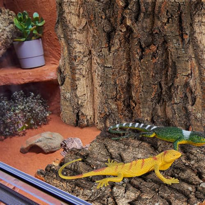 SEWACC 4pcs Cork Terrarium Background 5.9x5.9in Natural Cork Bark Climbing Mat Reptile Tank Background Board Habitat Decoration for Gecko Lizard Tortoise Turtle Chameleon Beared Dragon