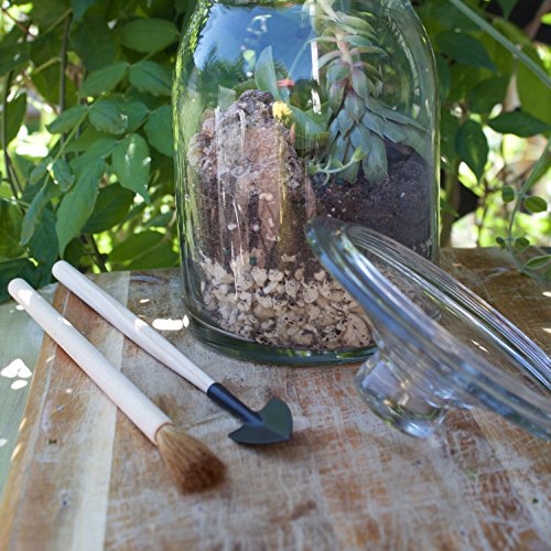 Syndicate Sales Terrarium Tool Kit 4 Piece