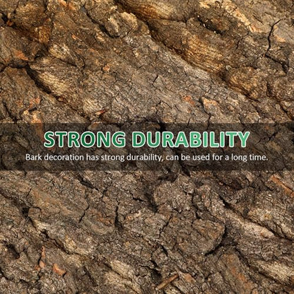 DOITOOL 2 PCS Natural Cork Bark Background, 11.8" x 7.9" Reptile Tree Bark Reptile Hides for Tank Backdrop Climbing Wall Terrarium Decor Accessories for Bearded Dragon Lizard Geckos Tortoise