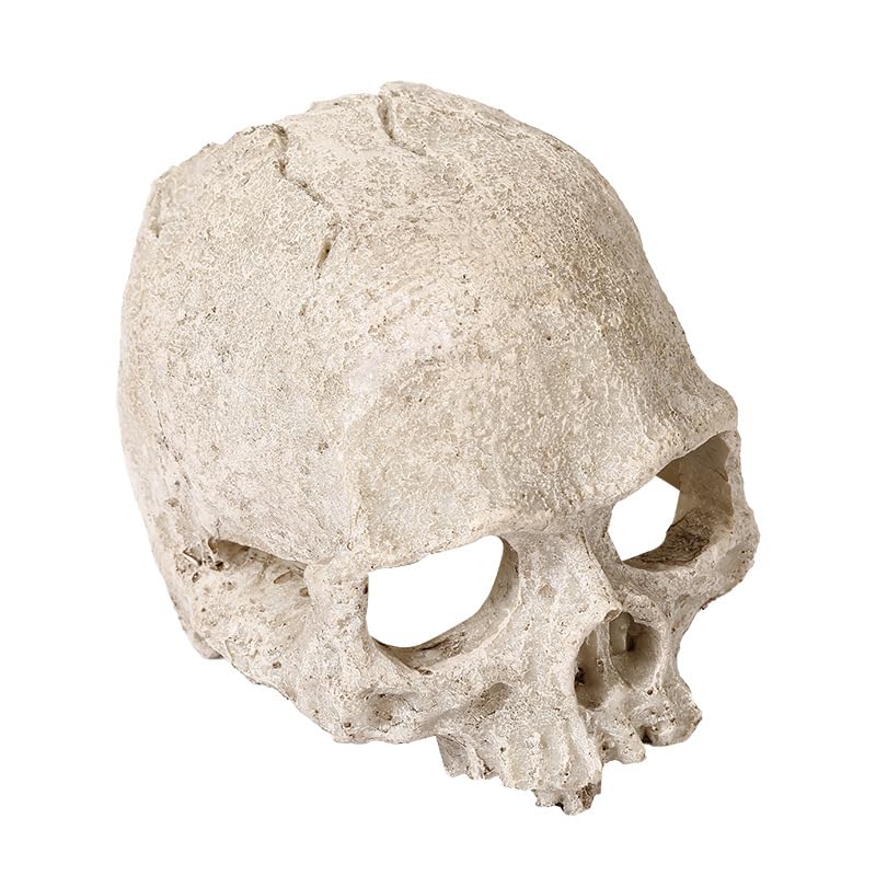 Halloween Aquarium Landscape Skull Aquarium Skull Artificial Skeleton Decoration for Home Décor Aquarium Fish Tank Landscape Collectible Teaching Prop