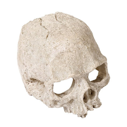 Halloween Aquarium Landscape Skull Aquarium Skull Artificial Skeleton Decoration for Home Décor Aquarium Fish Tank Landscape Collectible Teaching Prop