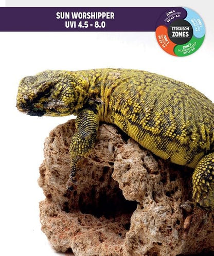 Reptile Systems T5 Ferguson Zone 4 Lamp – 48in, 54W – High Output Lighting for Reptiles, Crested Geckos, Chameleons, Leopard Geckos – Ideal for Vivariums and Tanks