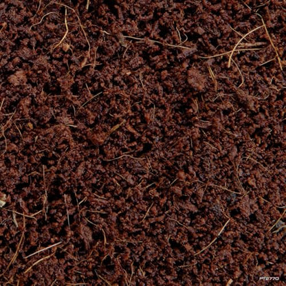 Exo Terra Plantation Soil, 8 Qt (8.8 L) - 100% Natural Terrarium Substrate | Increases Humidity, Stimulates Digging & Burrowing | Ideal for Natural Terrarium Setups & Live Plants - size: 8-Quart
