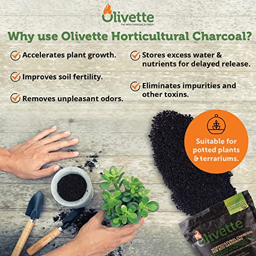 OLIVETTE Organic Biochar Activated Charcoal for Plants, 1 Bag | USDA Horticultural Charcoal, Moisture Control For Terrariums & Potted Plants, Biochar Soil Additive For Gardening - size: 1 Bag