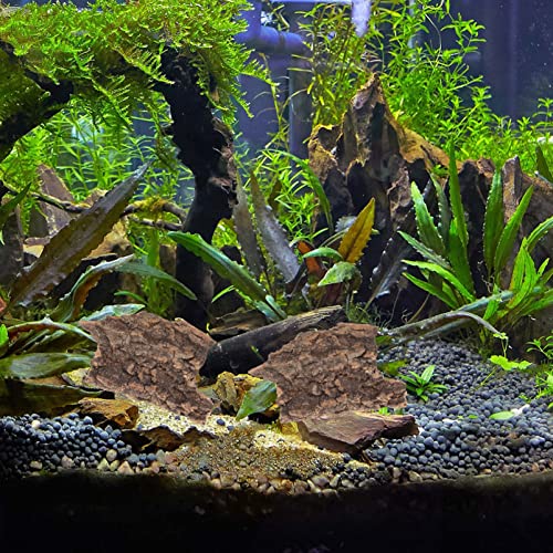 Homoyoyo 10pcs Cork Bark Decorations Chameleon Tank Background Snake Tank Decorations