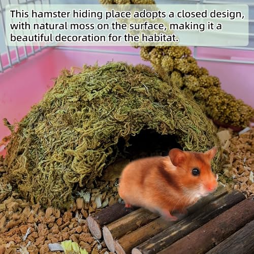 kathson 2Pcs Hamster Hideout, Hamster House, Natural Mossy Coconut Hut, Pet Hiding House, Small Animal Cage Accessories for Mouse Mice Rat Guinea Pigs Reptiles - size: 2 PCS