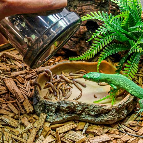 Cricket Calcium Powder Mixer, Reptile Cricket Keeper, Reptile Calcium Duster for Bearded Dragon Gecko Lizard Snake Chameleon