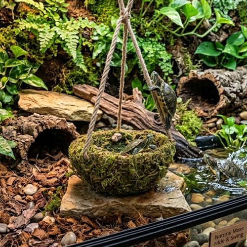 Humid Reptile Hide Leopard Gecko Tank Accessories Coconut Hide for Crested Gecko Tank Decor Handmade Moss Bearded Dragon Hammock Reptile Hideouts for Snake,Tortoise,Frog