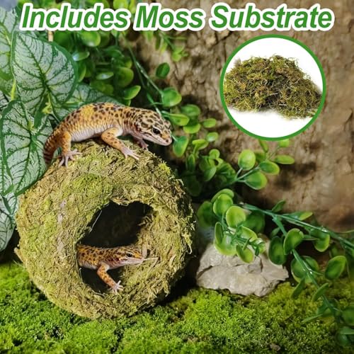 2pcs Crested Gecko Hide,Reptile Mossy Caves Hideout,Leopard Gecko Humid Hide,Natural Moss Cave Hiding Decor Tank Accessories for Reptiles, Amphibians,Invertebrates,Lizard,Frog