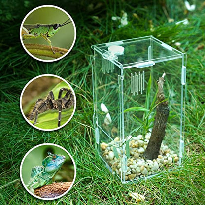 BETAZOOER Acrylic Mini Reptile Tank Habitat Transparent Terrariums with Locking Latch Suitable for Tarantula Isopod Roach Invertebrates (8''x6''x14'') - size: Large