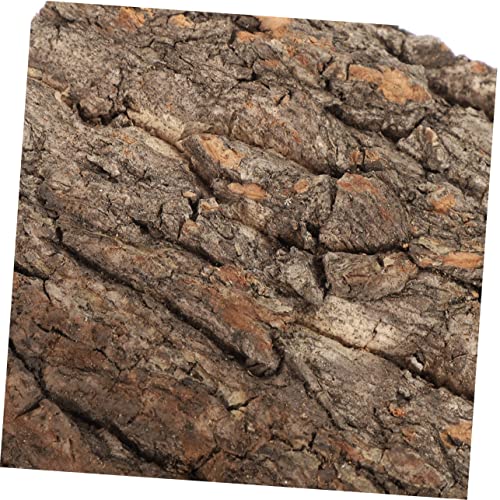 BESPORTBLE 2pcs Bark Aquarium Decor for Reptiles Safe and Wear-Resistant Terrarium Background for Fish Tanks and Reptile Habitats Each
