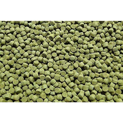 Northfin Veggie Fish Food, Slow-Sinking Pellets, 3mm, 1kg | Veggie Formula; slow-sinking pellets for herbivorous & omnivorous fish; organic kelp first ingredient; crafted in Canada - size: 2.19 Pound (Pack of 1), style: 3mm