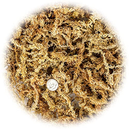GARDENERA Premium Sphagnum Moss - Organic Hand Mixed New Zealand Long Fibered Sphagnum Moss Orchid - 4 Quart Bag - size: 4 QUART