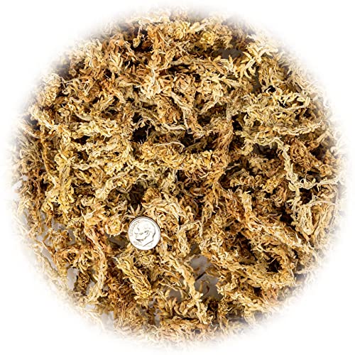 GARDENERA Premium Sphagnum Moss - Organic Hand Mixed New Zealand Long Fibered Sphagnum Moss Orchid - 5 Quart Bag - size: 5 QUART