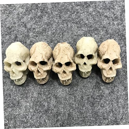 Gecko Tank Accessories 2pcs Mini Skulls for Aquarium Human Skull Aquarium Decoration Reptile Tank Decor Style
