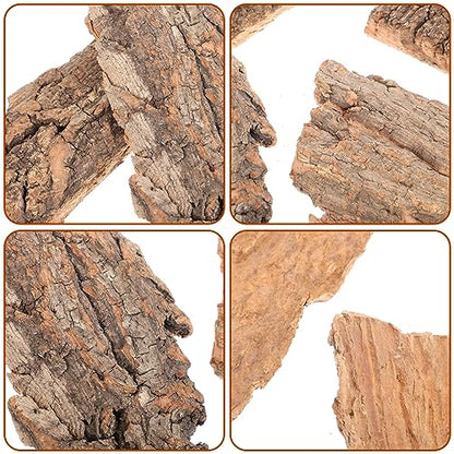 4pcs Natural Reptile Climbing Bark Decor for Terrariums for Lizards Bearded Dragons and Habitats Pet Environments