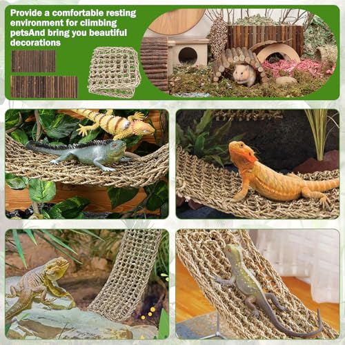 QUOZUO Bearded Dragon Tank Accessories, 3pack Reptile Habitat Hammock Natural Seagrass and Natural Wood Bendable Bridge for Climbing, Hermit Crab, Lizard, Mice, Spiders, Turtle, Snake