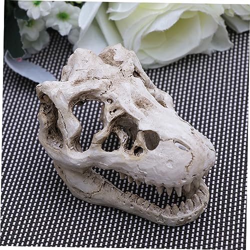 Resin Reptile Pet Skull Hide Skull for Reptile Tank Accessories Fish Tank Decor