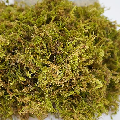 3.5oz Pure Natural Reptile Moss for Humidity, Great for Snakes, Turtle and Other Reptiles, Good for Terrariums for Reptiles & Amphibians - size: 3.5oz