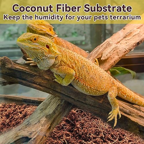 Legigo 2 Pack Coconut Fiber Substrate, Natural Coco Coir Bedding for Reptiles Turtles, Tortoises, Snake, Hermit Crab, Gecko, Lizard, Bioactive Terrarium Soil for Humidity Control and Plant Substrate - color: 2 Pack
