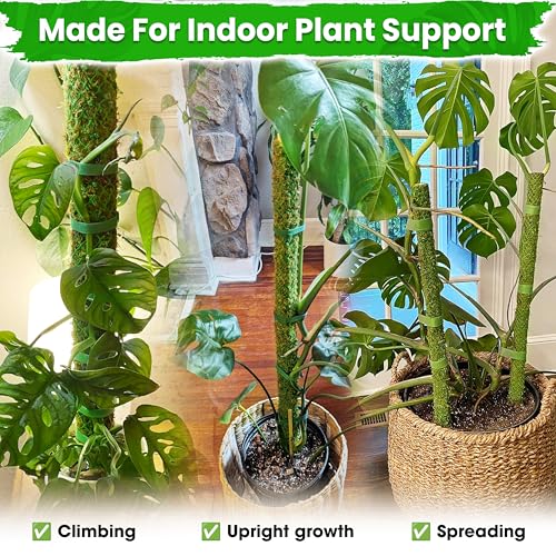 DUSPRO 4 Pack 25’’ Mesh Moss Pole for Climbing Plants, Natural Moss Pole Monstera Plant Support, Real Moss Poles for Plants Indoor, Moss Stick for House Plants, Moss Stakes for Climbing Plants - size: 25''