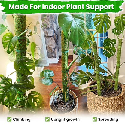 DUSPRO 4 Pack 25’’ Mesh Moss Pole for Climbing Plants, Natural Moss Pole Monstera Plant Support, Real Moss Poles for Plants Indoor, Moss Stick for House Plants, Moss Stakes for Climbing Plants - size: 25''