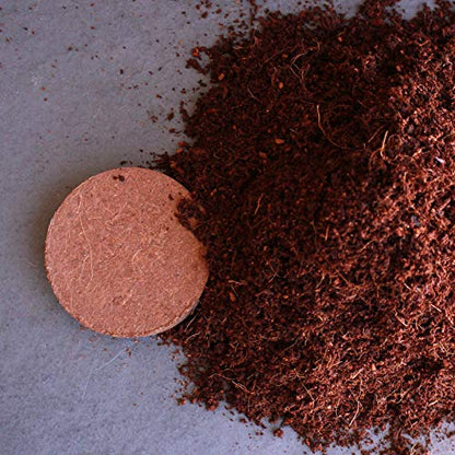 Mountain Valley Seed Co Minute Soil Compressed Coco Coir 100mm x 15mm 26 oz | (1 Pack) Fiber Grow Medium