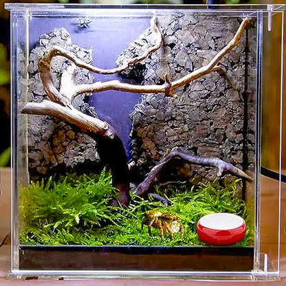 4 Pcs Hermit Crab Colorful Food Bowl Tarantula Water Bowl Spider Micro Ceramic Dish