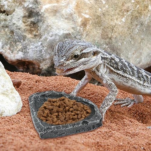 Reptile Water Dish Food Bowl for Bearded Dragon Tank Accessories, 2 Pack Reptile Feeding Dish Corner Bowl with Tweezers and Cleaning Shovel for Lizard Gecko Tortoise Hermit Crab (Black Grey)