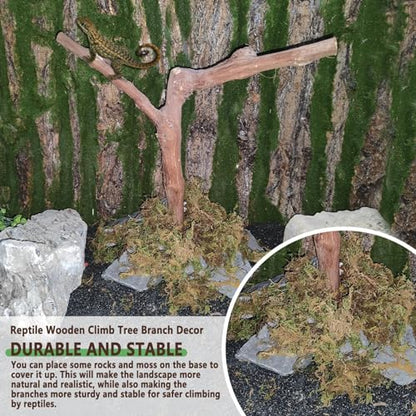 BNOSDM Reptile Grapevine Wood Decoration Lizard Natural Wood Climb Tree Branch Decor Grape Wood Branches Tank Accessories for Leopard Gecko Frog Snake Climbing Terrarium Ornament,7.87in