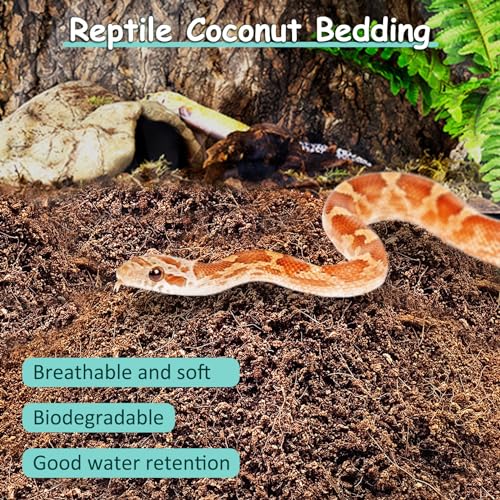 VCEPJH Loose Coconut Fiber Substrate 2 Pack Natural Coco Coir Reptile Bedding and 2 Pcs Reptile Bridge Leopard Gecko Climbing Ladder Wooden Basking for Crested Gecko Bearded Dragon Hermit Crab