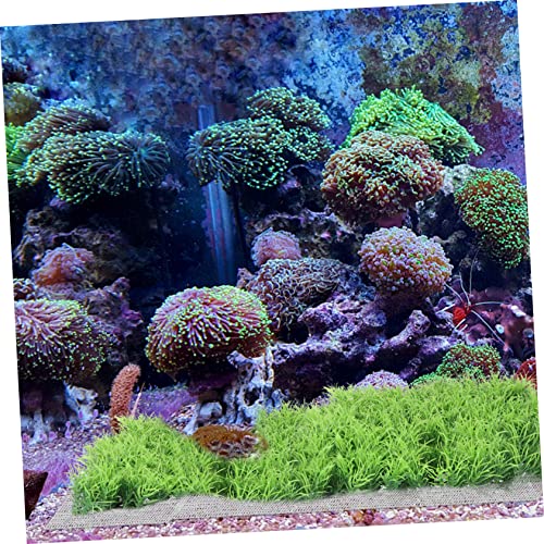 LIOOBO 10Pcs Stainless Steel Mesh Pad for Aquarium Planting Rust-Free Water Grass Fixing Net Sturdy Fish Tank Mesh for Aquatic Plants