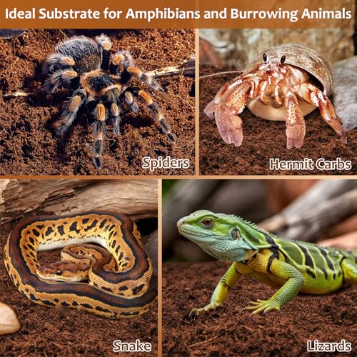 Riare 8 Pack Natural Coconut Fiber Substrate for Reptile- Premium Compressed Coconut Husk Terrarium Bedding for Reptile, Tortoise, Frogs, Snakes Hermit Crabs, Burrowing Animals - color: 8 pack