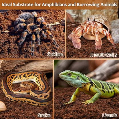 Riare 8 Pack Natural Coconut Fiber Substrate for Reptile- Premium Compressed Coconut Husk Terrarium Bedding for Reptile, Tortoise, Frogs, Snakes Hermit Crabs, Burrowing Animals - color: 8 pack