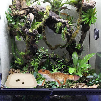2 Pcs Leopard Gecko Potty Pad,Crested Gecko Potty Latrine，Leopard Gecko Tray，Reptile Litter Box，Portable Gecko Tank Accessories (Beige) - color: Beige