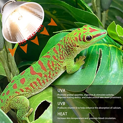 3 Pack UVA UVB Reptile Light Halogen Bulbs Beads Heat Lamp (75 Watt) Clear