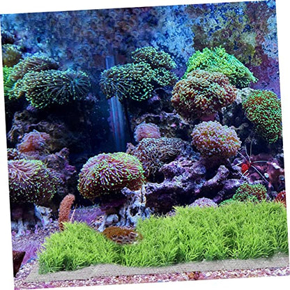 BESTonZON 10Pcs Stainless Steel Grass Plant Net for Aquarium Moss Fixed Mesh Rust-Resistant Fish Tank Accessory