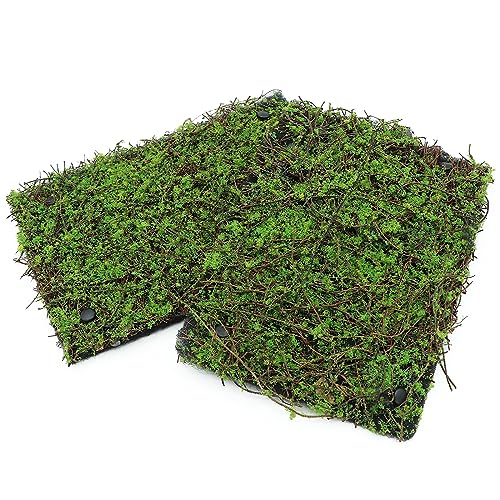AQUA KT Terrarium Moss Background Backdrop Wall Artificial Reptile Amphibian Cage Decoration for Lizard Bearded Dragon Snake Frog Chameleon Climbing, Pack of 2