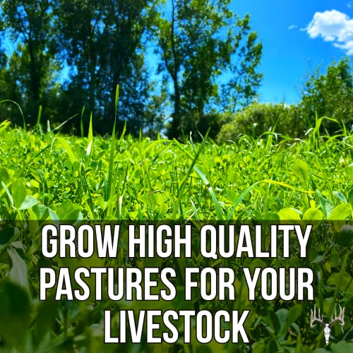 Crooked Bend Memas Moo Mix, 8LB EcoPack, Farm Pasture Seed Blend for Horse, Cattle, Pig, Goat, Chicken, Duck, Sheep & Livestock, Grow Alfalfa & Perennial Grasses Fields, Graze Resistant, Cold Tolerant - size: 8 pounds