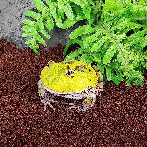 REPTI ZOO Reptile Coconut Fiber Substrate 72 Quart, Reptile Bedding Coco Coir Brick for Turtle, Hermit Crab, Spider, Frog | 100% Organic | Odor Absorption - style: Coconut Fiber Substrate