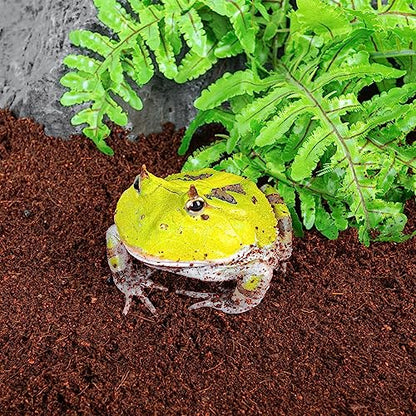 REPTI ZOO Reptile Coconut Fiber Substrate 72 Quart, Reptile Bedding Coco Coir Brick for Turtle, Hermit Crab, Spider, Frog | 100% Organic | Odor Absorption - style: Coconut Fiber Substrate