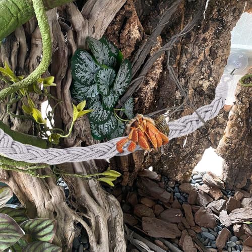 Hermit Crab Climbing Rope, 23.6 Inches, Cotton, Reptile Climbing Accessory, Gray - color: Gray