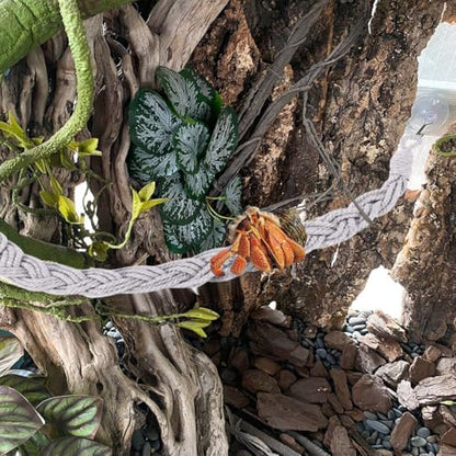 Hermit Crab Climbing Rope, 23.6 Inches, Cotton, Reptile Climbing Accessory, Gray - color: Gray