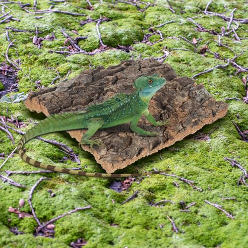 Mipcase Cork Bark Fish Tank Decoration 4 Pieces Terrarium Background for Reptile and Aquarium Suction Cup Compatible Natural Climbing Habitat for Bearded Dragon Gecko Frog