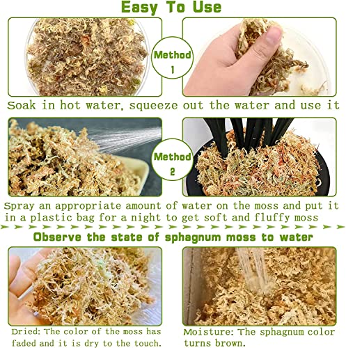 Legigo 2 Quarts Organic Orchid Potting Bark & 2 Quarts Natural Sphagnum Moss Potting Mix-Premium Growing Medium for Orchids, Succulents, Carnivorous Plants & Reptiles