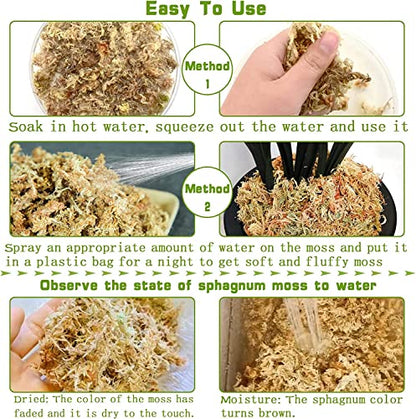Legigo 2 Quarts Organic Orchid Potting Bark & 2 Quarts Natural Sphagnum Moss Potting Mix-Premium Growing Medium for Orchids, Succulents, Carnivorous Plants & Reptiles
