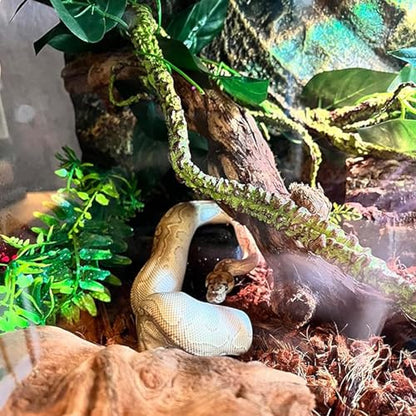 Reptile Vines Artificial Terrarium Plant Flexible Bendable Jungle Climbing Bearded Dragon Lizard Snake Gecko Chameleon Habitat Décor Plants