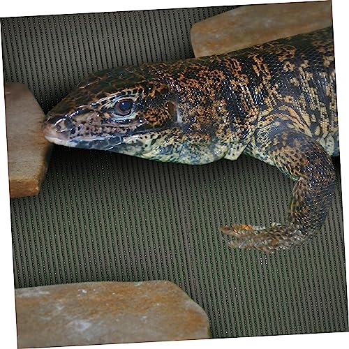 BESPORTBLE Reptile Carpet Reptile Tank Liner Tortoise Bedding Portable Snake Bedding Cage Substrate Liner Pet Accessories Supplies
