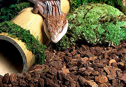 DBDPet Galapagos Jurassic Fir Bark Natural Fir Bark Bedding Substrate Brown 8qt - Includes Attached Pro-Tip Guide