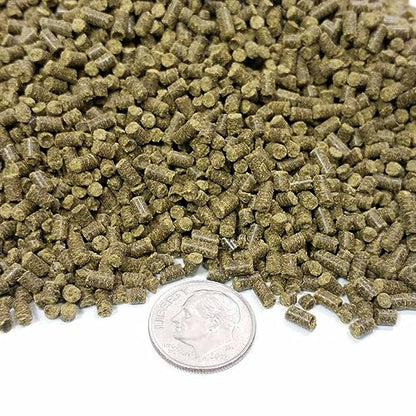 Spirulina Sinking Pellets for Shrimp, Snails, Crabs, Catfish, Plecos for All Tropical Fish 1/16" x 3/8" Pellets by Zeigler…6-lb Lg Jar - size: 6 Pound (Pack of 1)